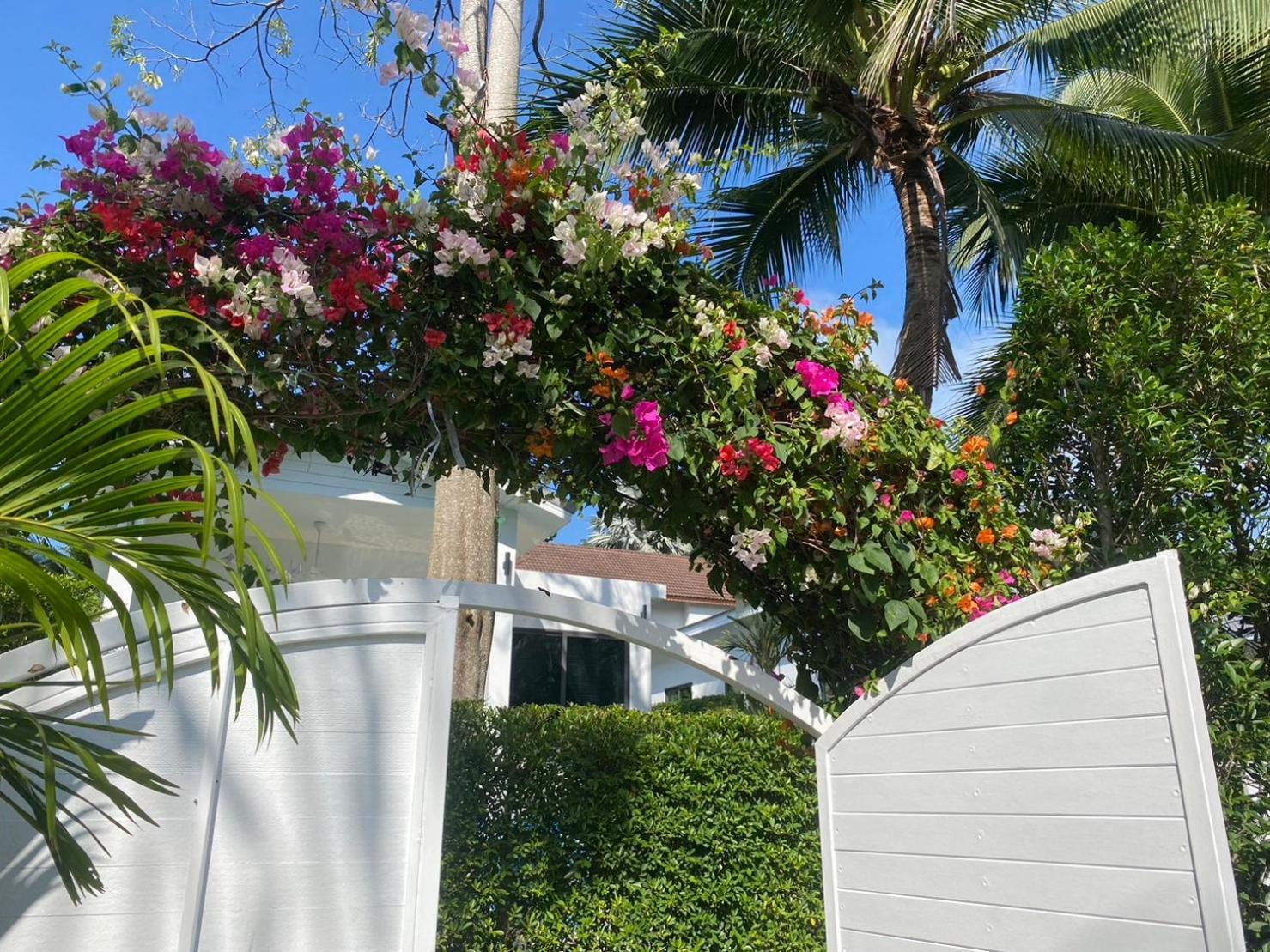 Bougain Villas Praia de Salad Exterior foto